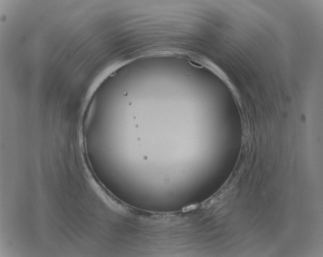 X0000076390811200610202103