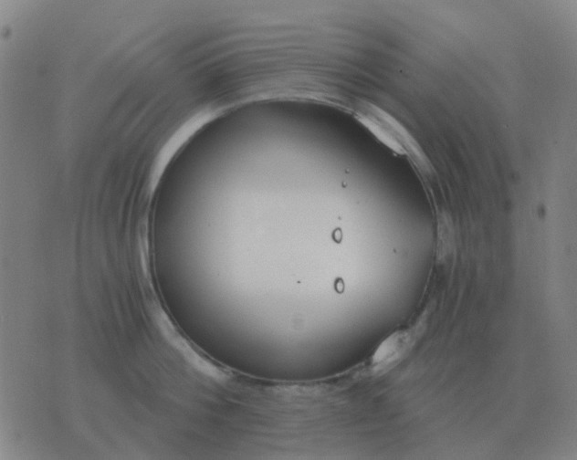 X0000076390812200610202103