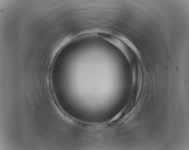 X0000076390813200610202103