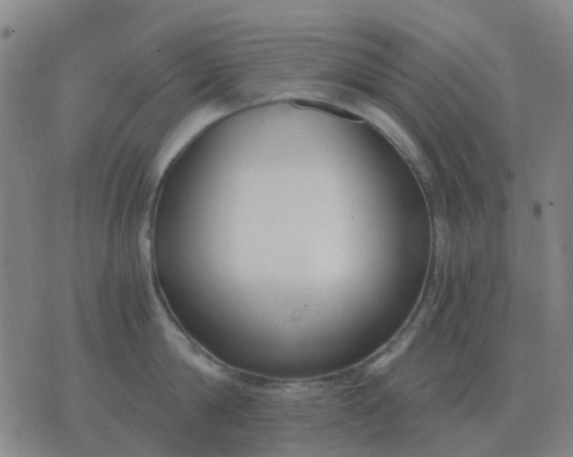 X0000076390814200610202103