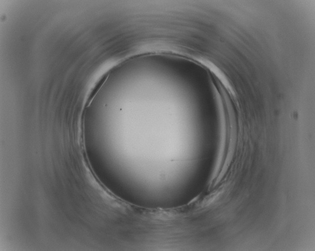 X0000076390815200610202103