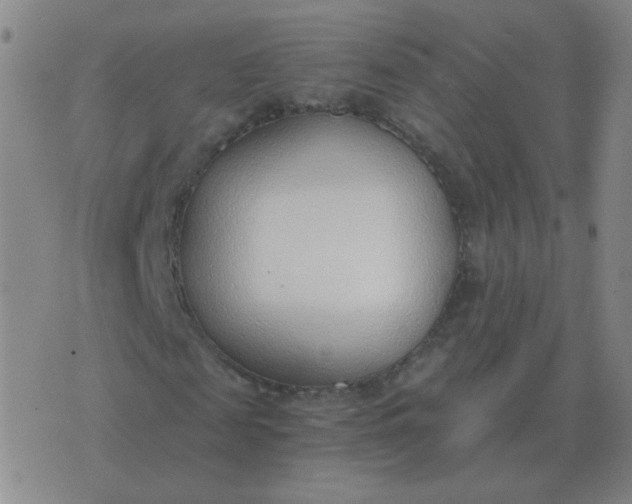 X0000076390817200610202102