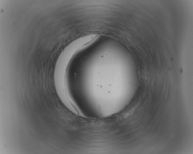 X0000076390818200610202102