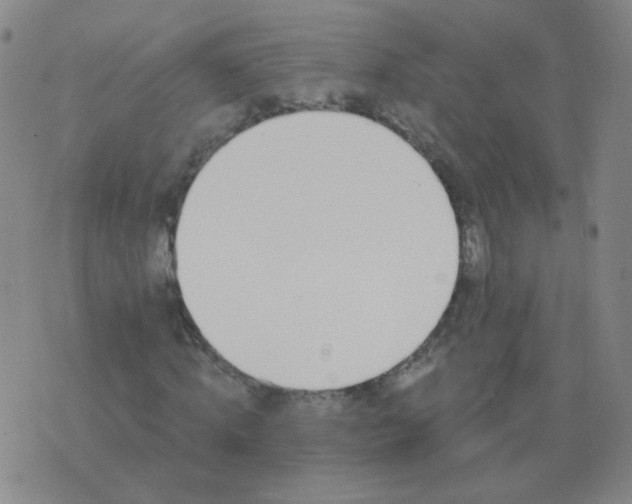 X0000076390820200610202102