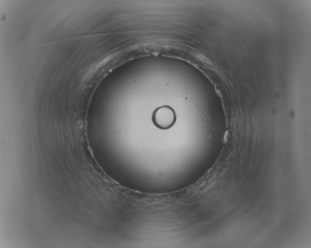 X0000076390822200610202102