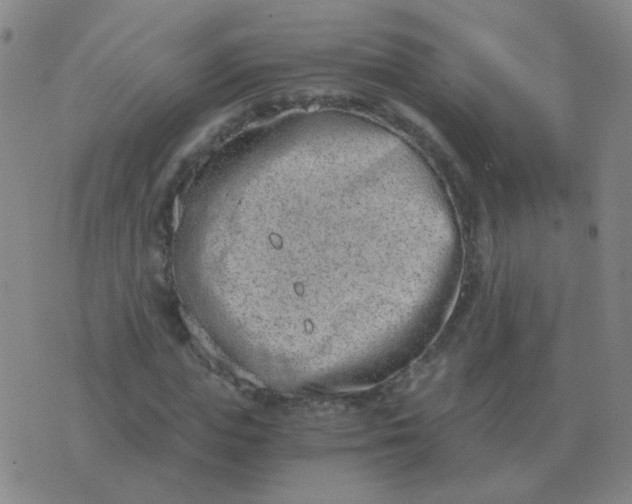 X0000076390823200610202102