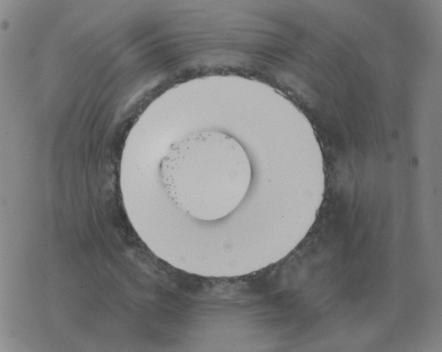 X0000076390824200610202102