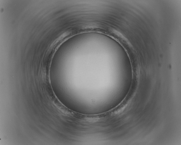 X0000076390825200610202102