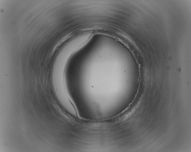 X0000076390826200610202102