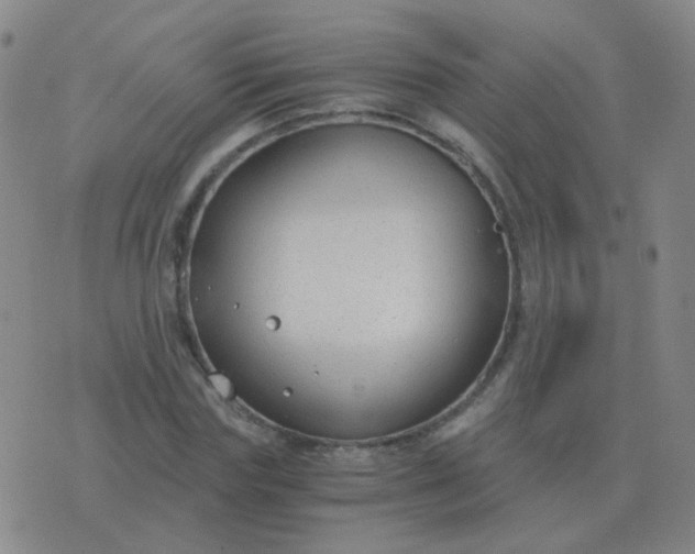 X0000076390827200610202102