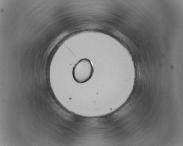 X0000076390828200610202102