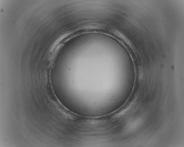 X0000076390829200610202102