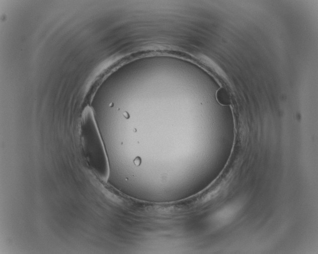 X0000076390831200610202102