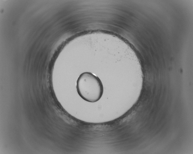 X0000076390832200610202102