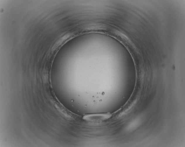 X0000076390833200610202102