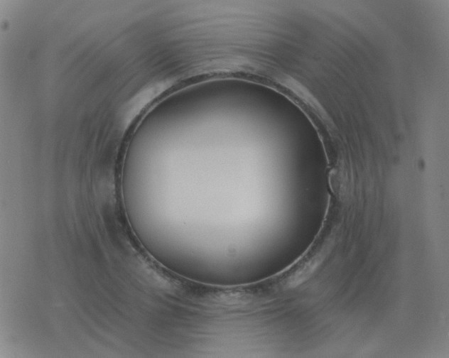 X0000076390834200610202102