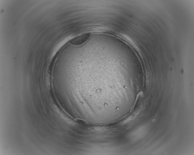 X0000076390835200610202102