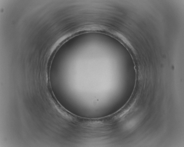 X0000076390837200610202102