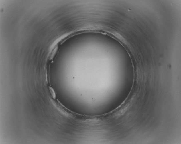 X0000076390838200610202102