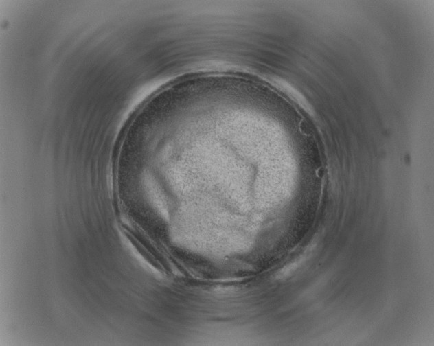 X0000076390839200610202102