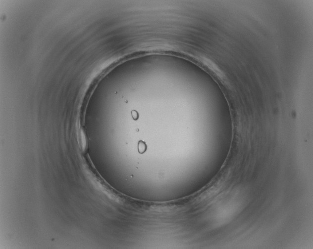 X0000076390840200610202102