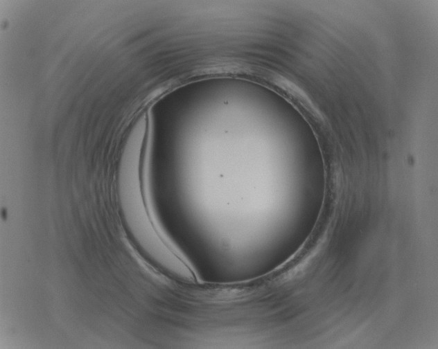 X0000076390841200610202102