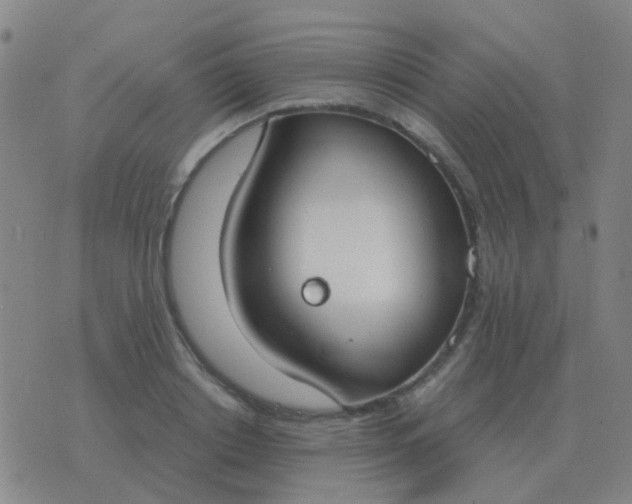 X0000076390842200610202102