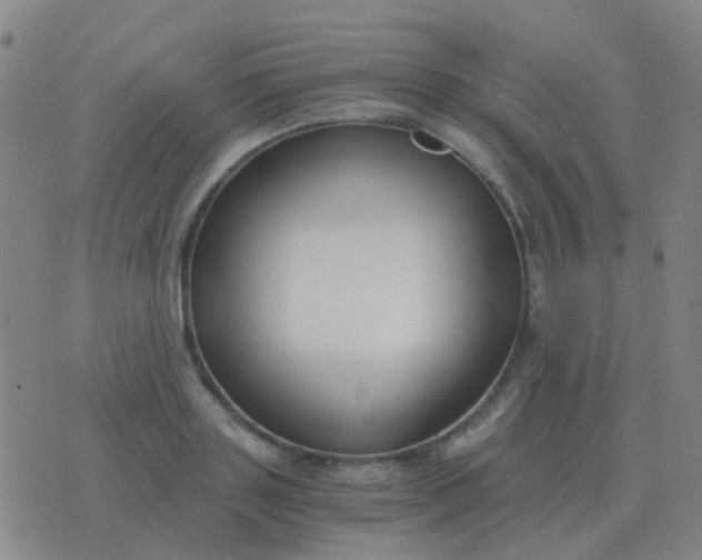 X0000076390843200610202102