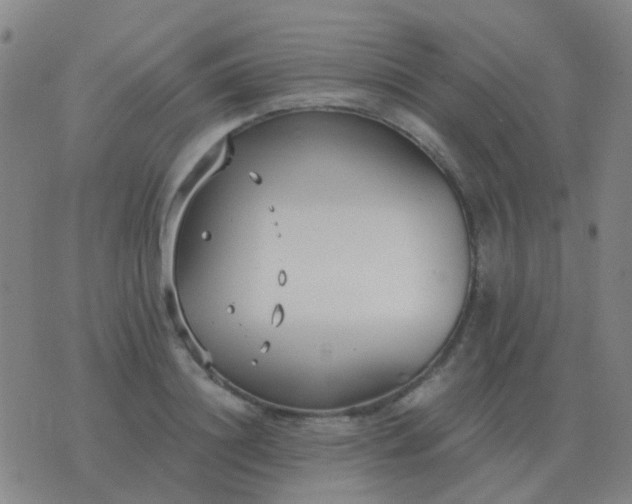 X0000076390844200610202102