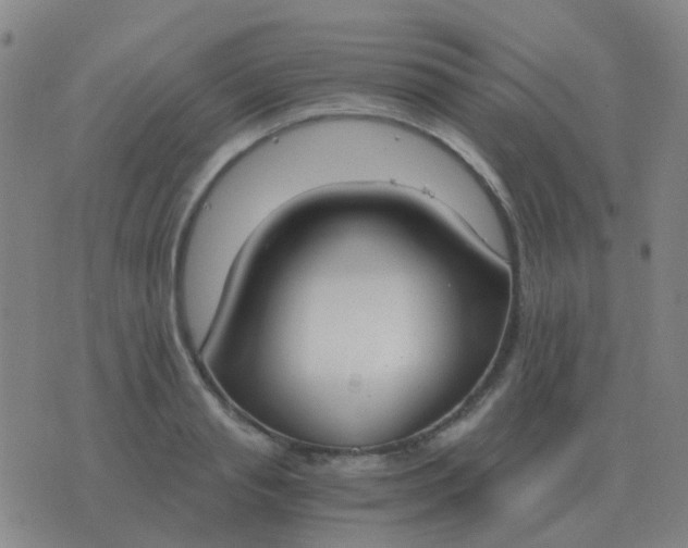 X0000076390845200610202102