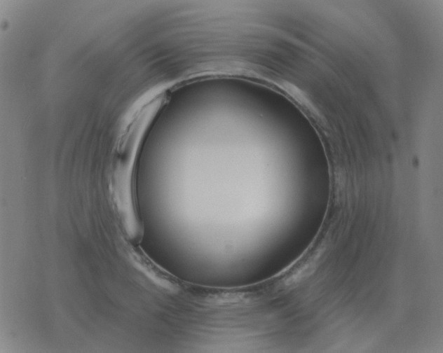 X0000076390846200610202102