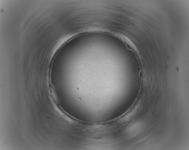 X0000076390847200610202102