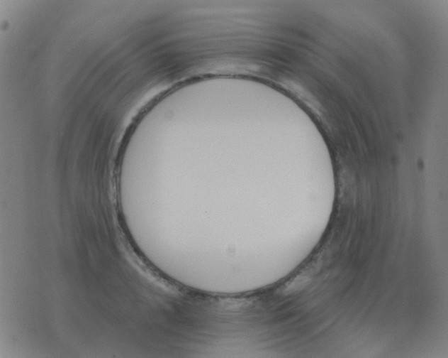 X0000076390848200610202102