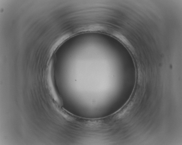 X0000076390850200610202102