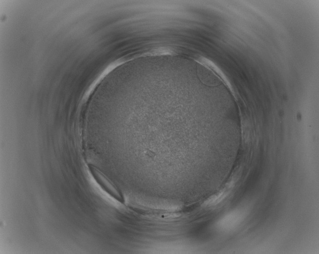 X0000076390851200610202102