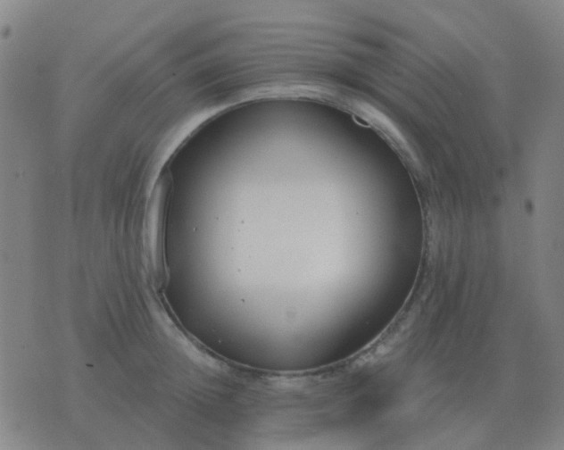 X0000076390852200610202102