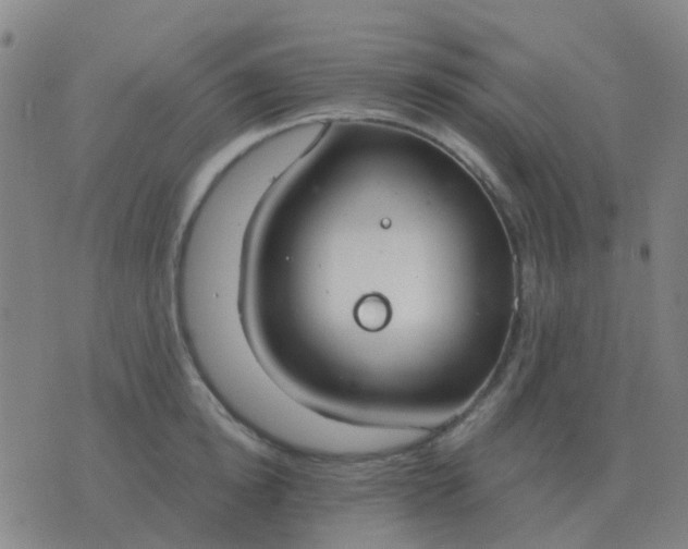 X0000076390854200610202102