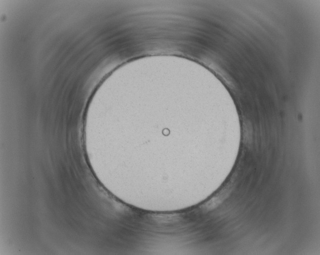 X0000076390856200610202102