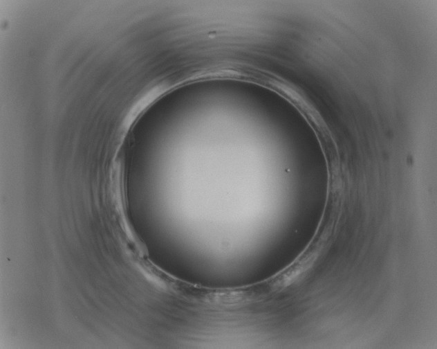 X0000076390858200610202102