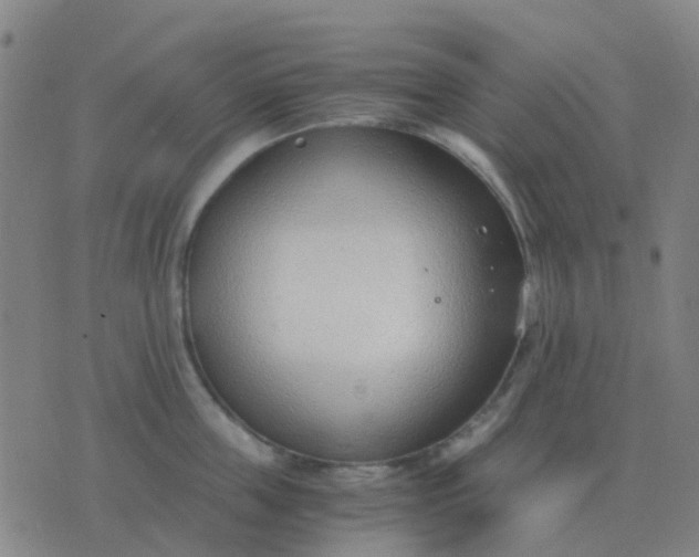 X0000076390859200610202102