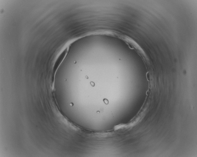 X0000076390860200610202102