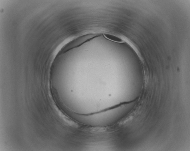 X0000076390861200610202102