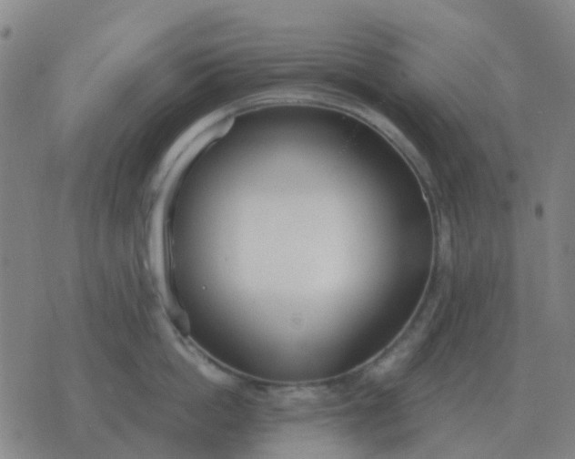 X0000076390862200610202103