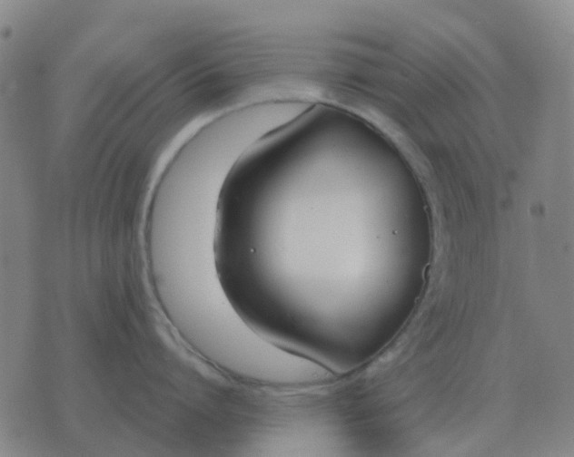 X0000076390864200610202103