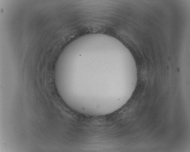 X0000076390865200610202102