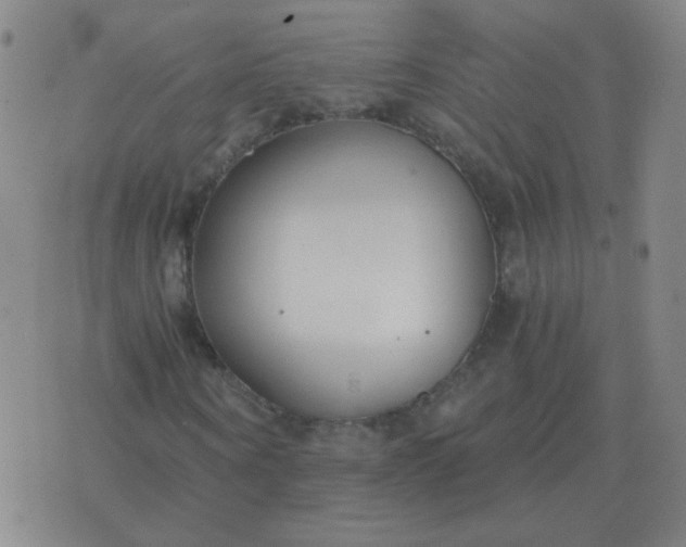 X0000076390866200610202102