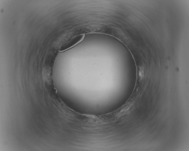 X0000076390867200610202102