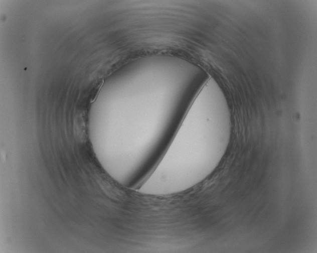 X0000076390868200610202102