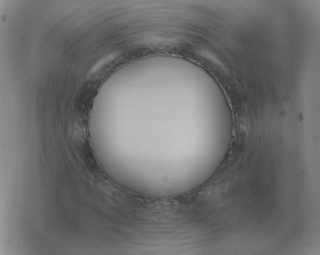 X0000076390869200610202102