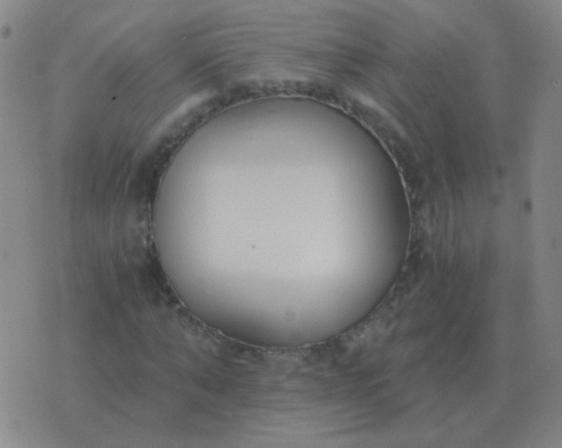 X0000076390870200610202102